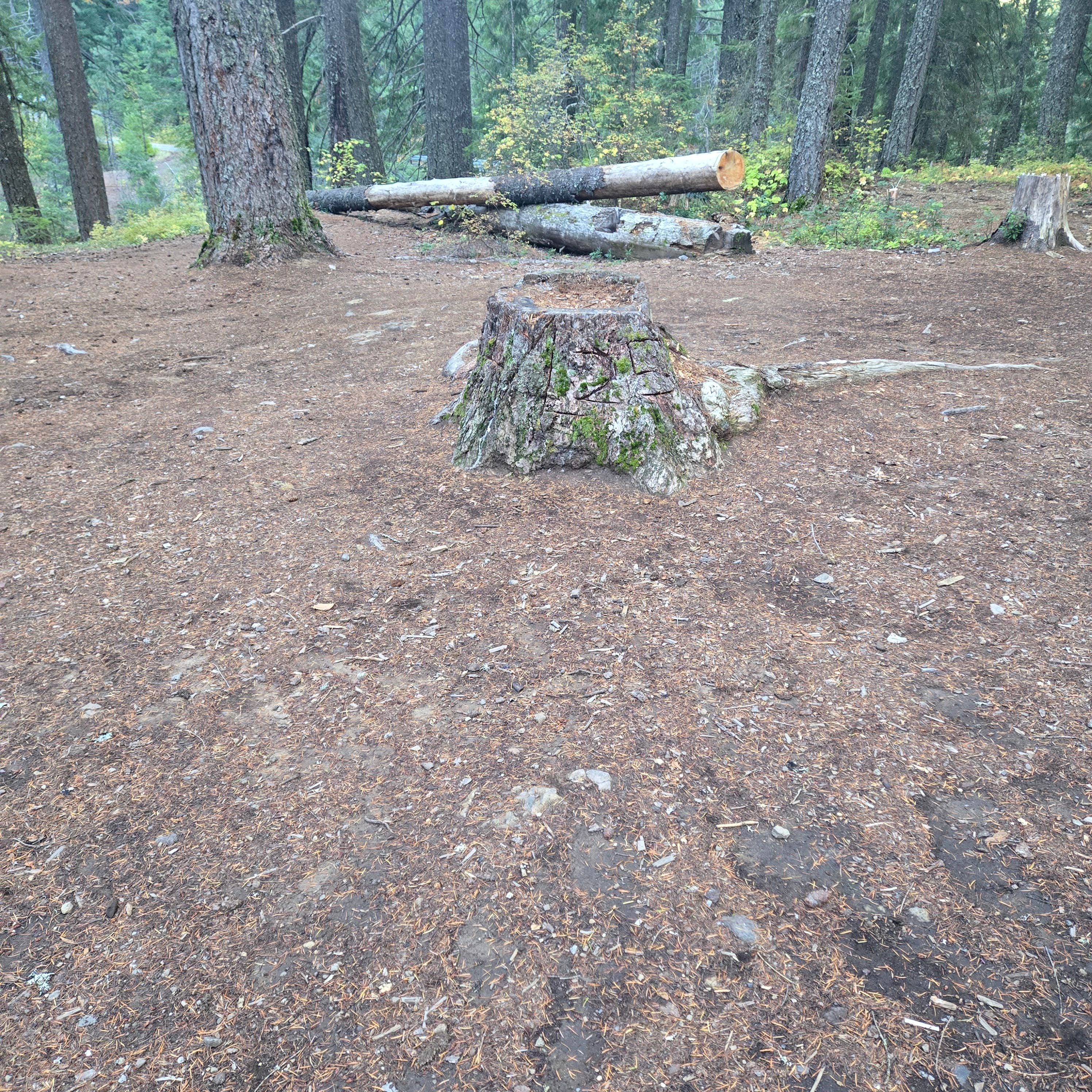 Camper-submitted photo at Bybee Creek runoff to Rogue River near Tiller, OR