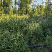 Review photo of byers lake campground by Connie B., July 24, 2026