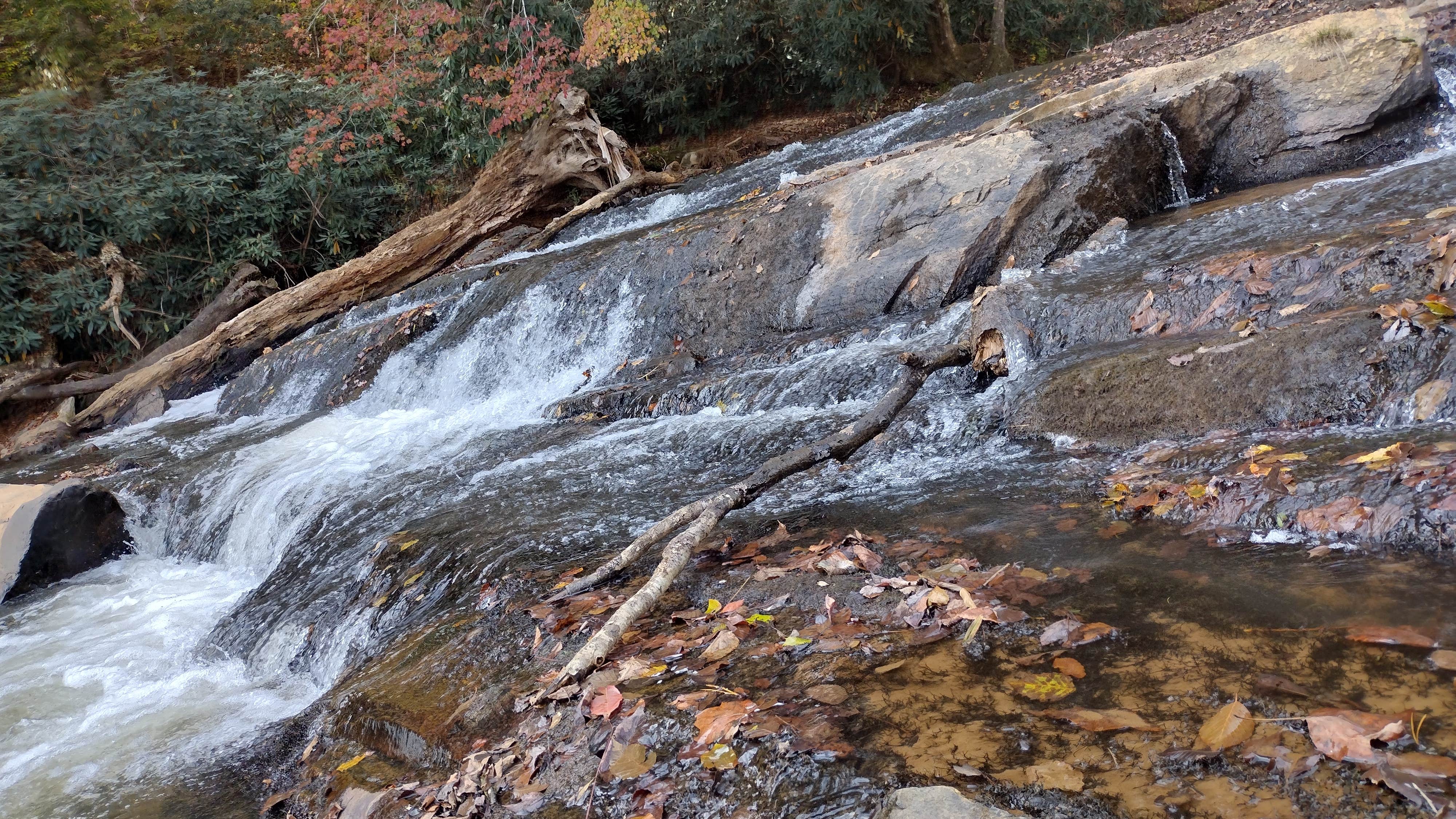 Camper-submitted photo at Byrd's Branch Campground near Elkin, NC