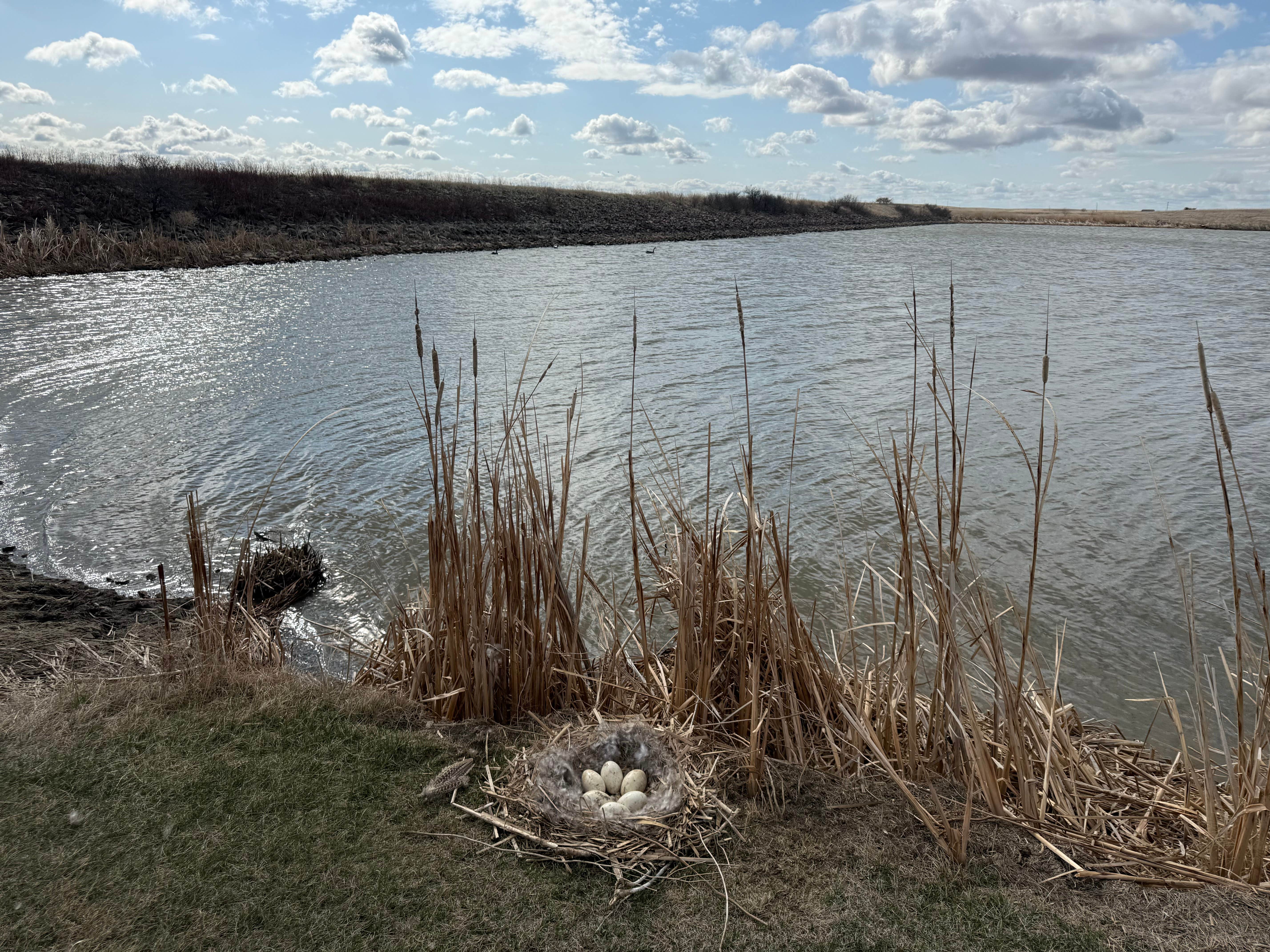 Camper-submitted photo at Byre Lake Recreation Area near Fort Pierre, SD
