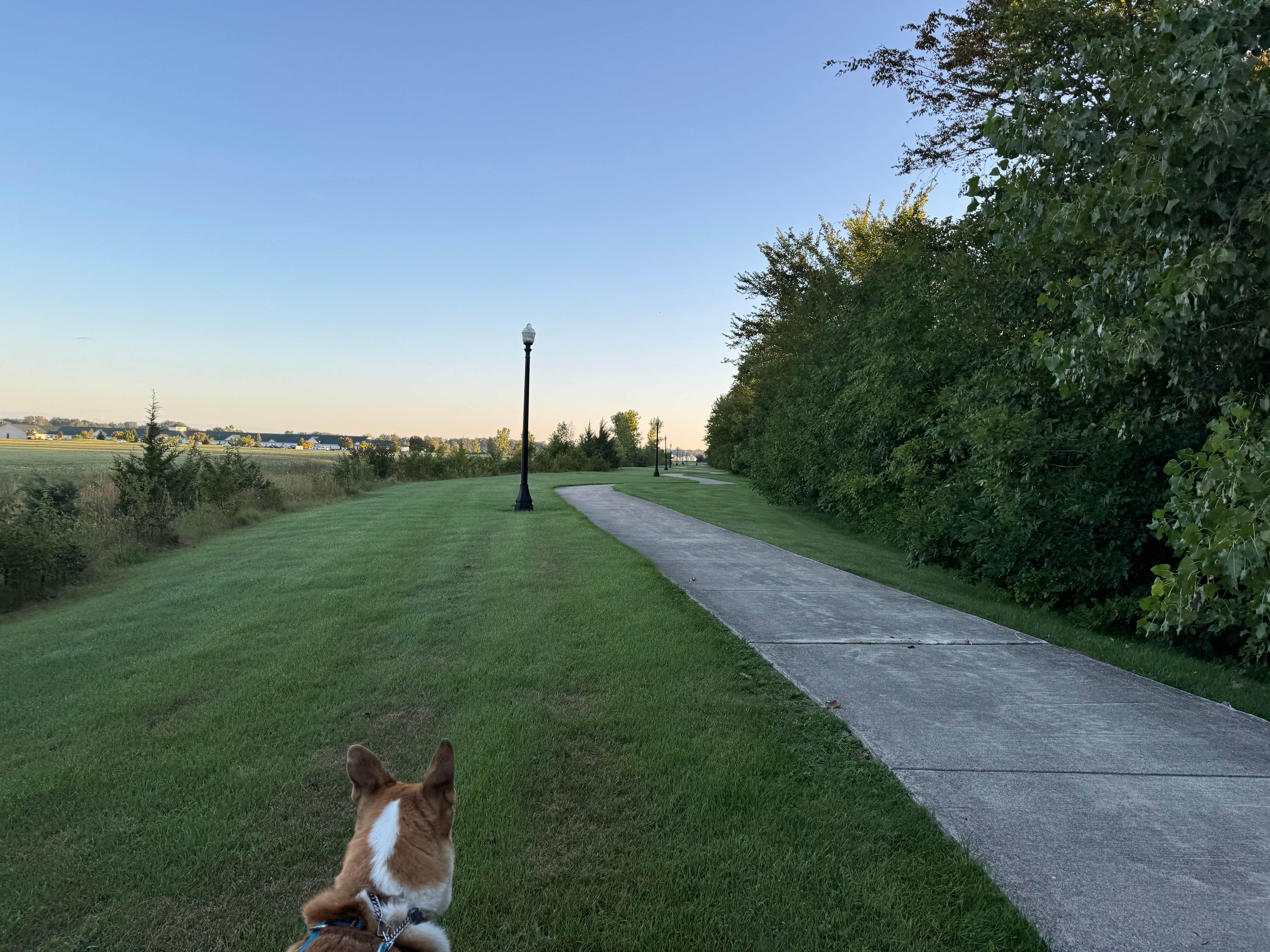 Wander W.'s photo of camping with pets at Cabela’s Dundee near New Boston, MI