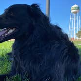 Review photo of Cabela's Kearney, NE by Kerri M., September 26, 2024