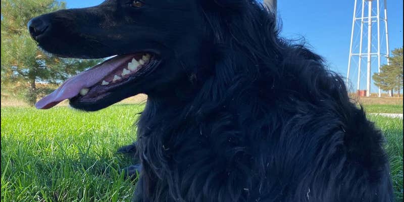 Camper submitted image from Cabela's Kearney, NE