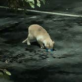 Review photo of Cabela's - Lexington by stephen W., October 8, 2024