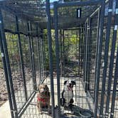 Review photo of Cabela's Reno by Rara B., June 5, 2025