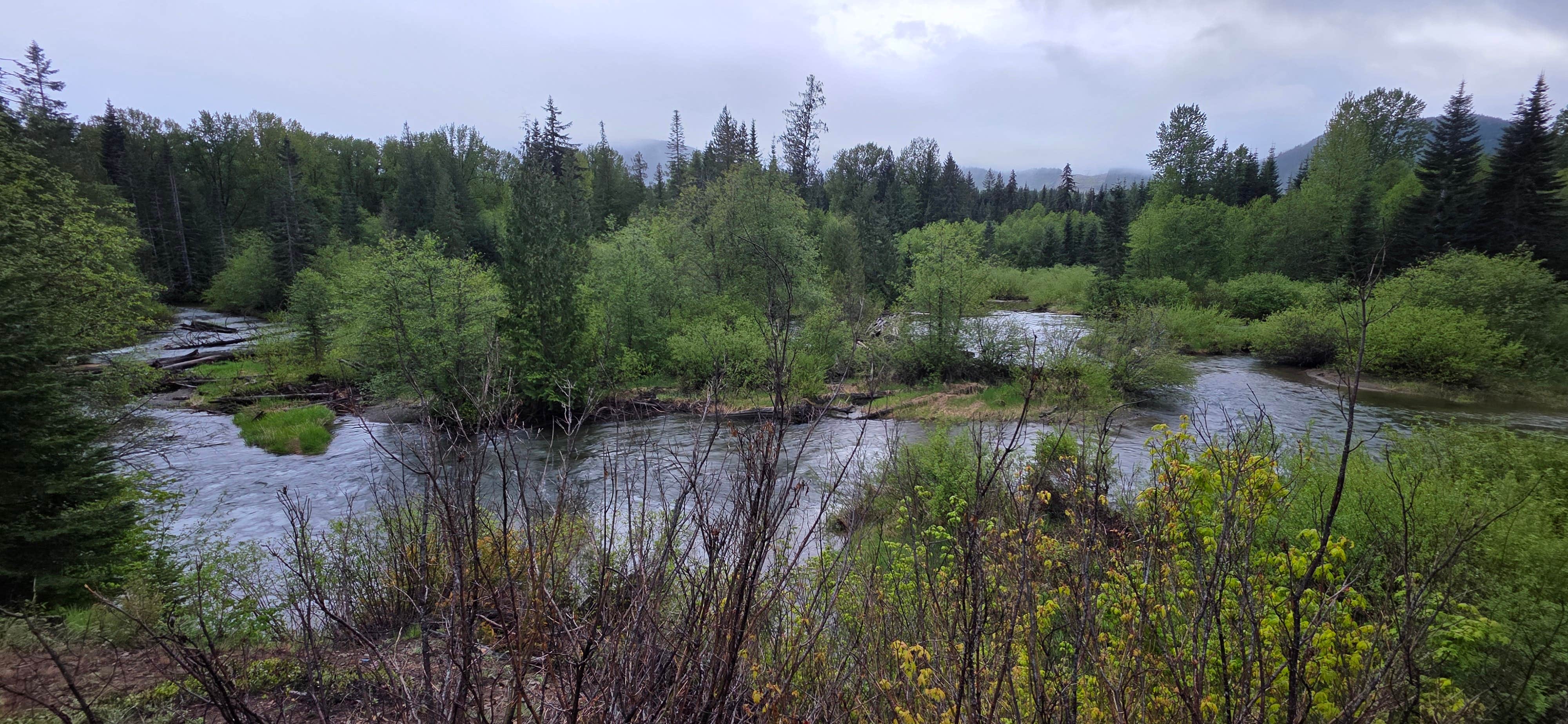 Camper-submitted photo at Cabin Creek Dispersed Camping near Snoqualmie, WA