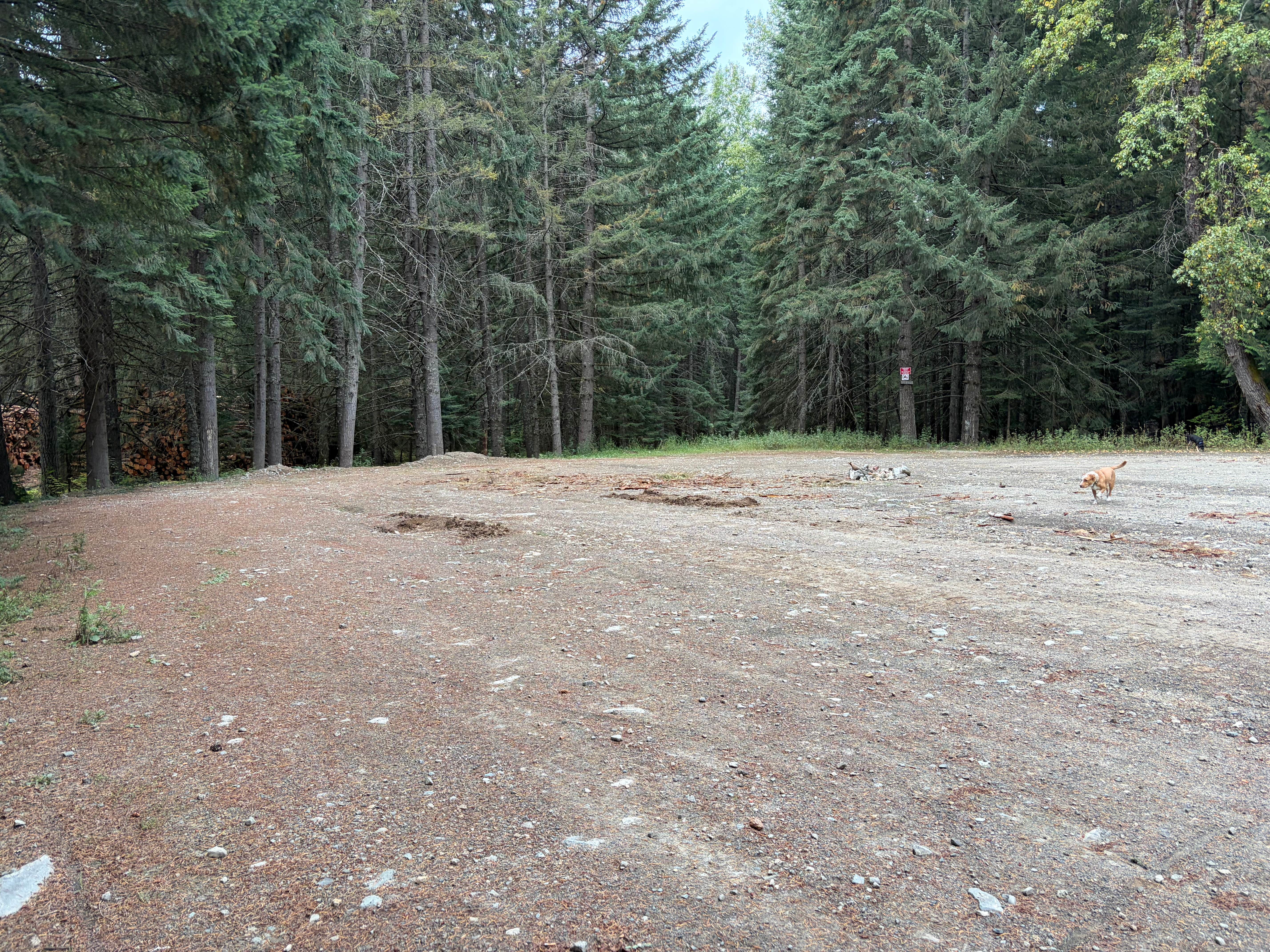 Camper-submitted photo at Cabin Creek Dispersed Camping near Snoqualmie, WA