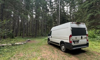 Cabin Creek Dispersed Camping