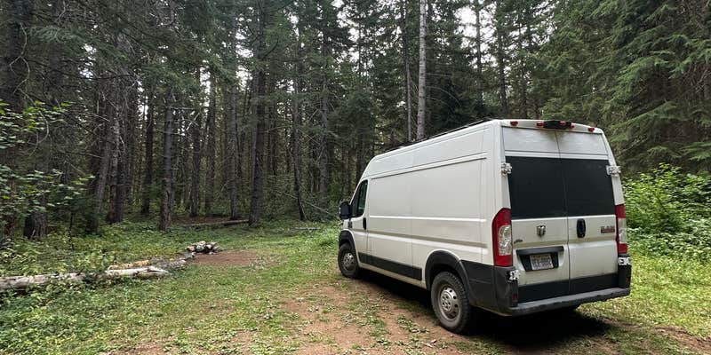 Camper submitted image from Cabin Creek Dispersed Camping