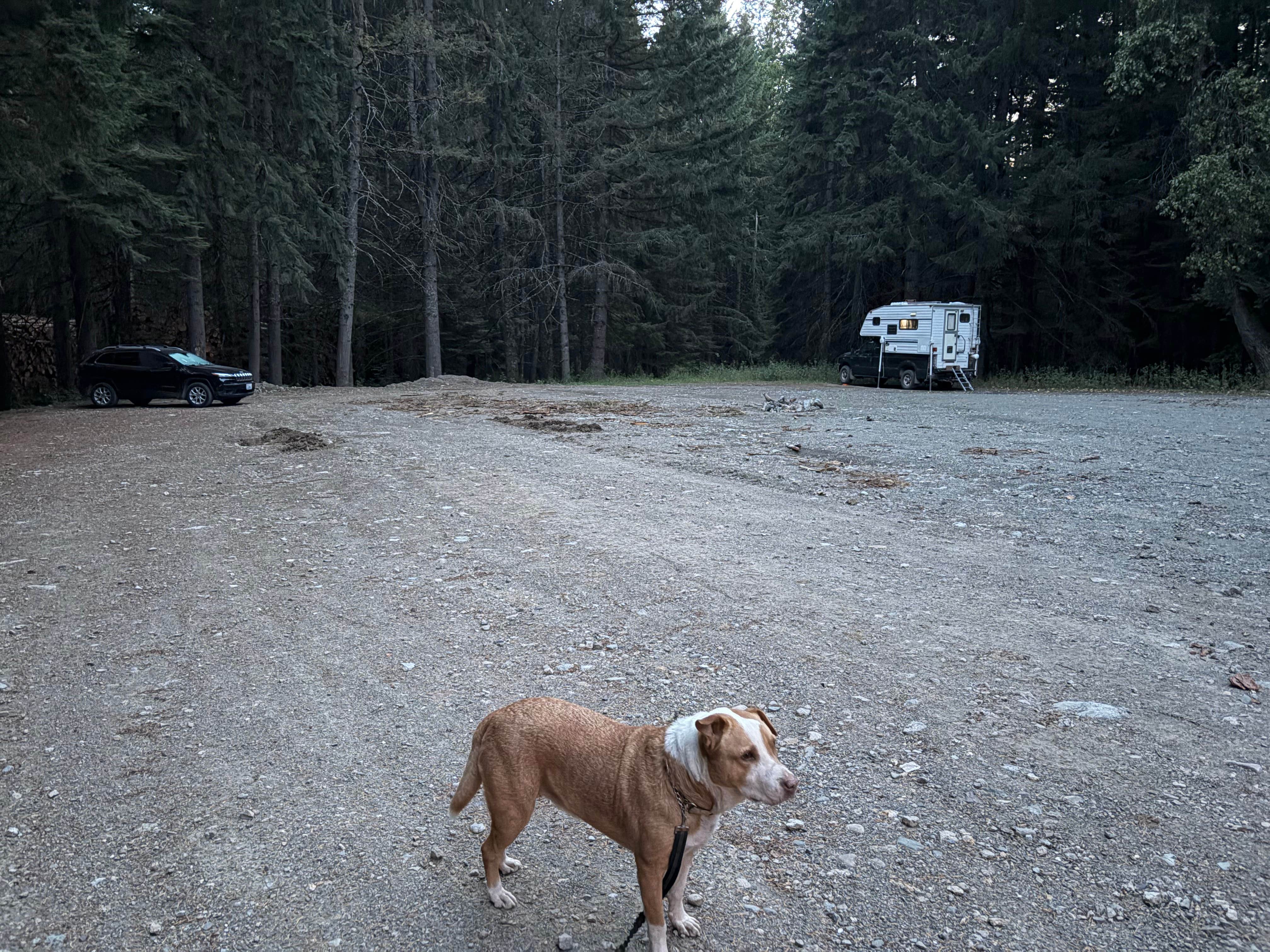 Camper-submitted photo at Cabin Creek Dispersed Camping near Snoqualmie, WA