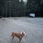 Review photo of Cabin Creek Dispersed Camping by traveller 1., September 23, 2026