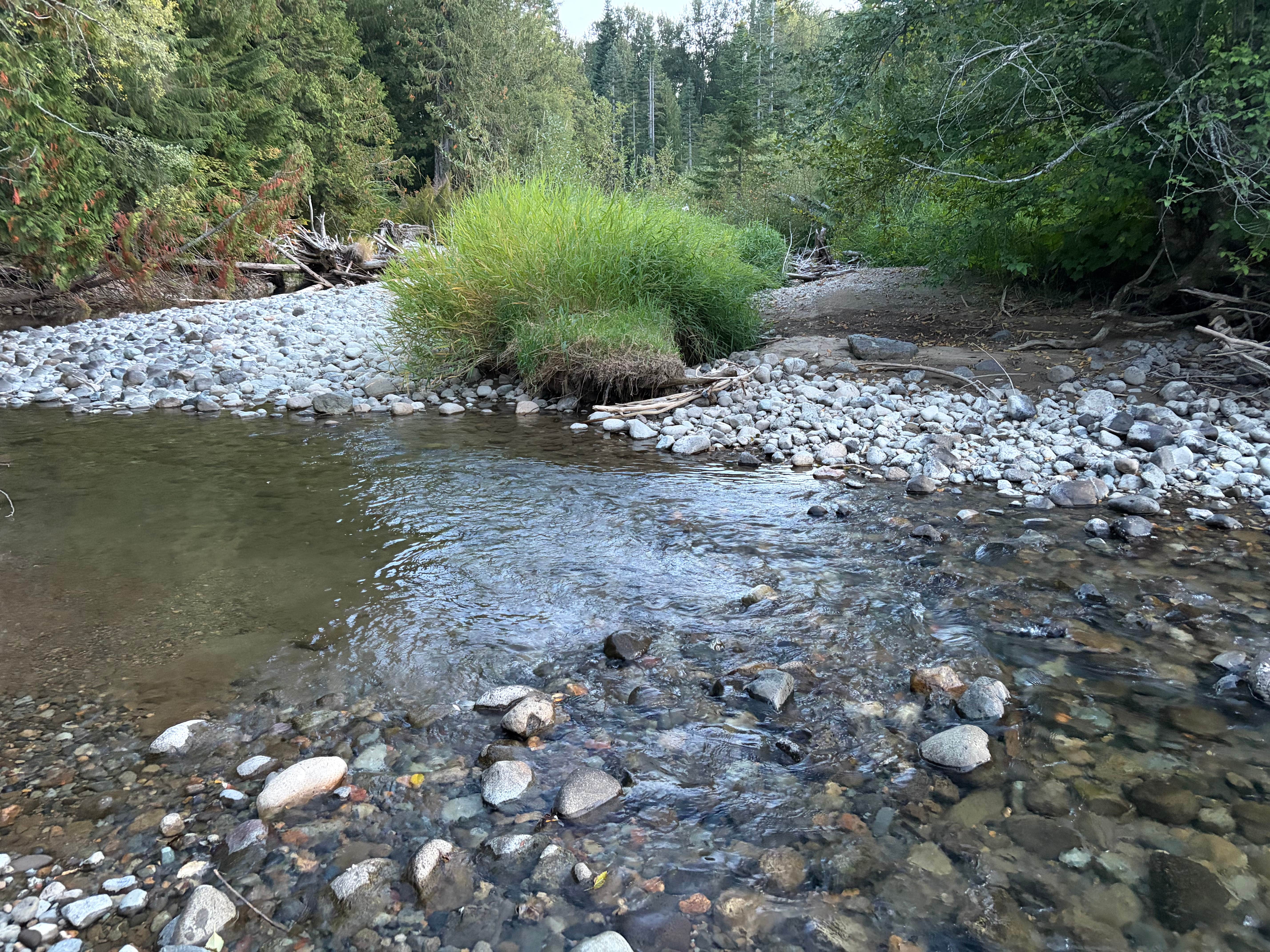 Camping near South Fork Snoqualmie River Dispersed Site: Cabin Creek Dispersed Site, Easton, Washington