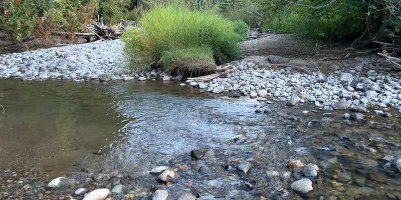 Camper submitted image from Cabin Creek Dispersed Site