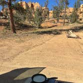 Review photo of Cabin Hollow on Forest Road 121 by Skylar K., August 4, 2025