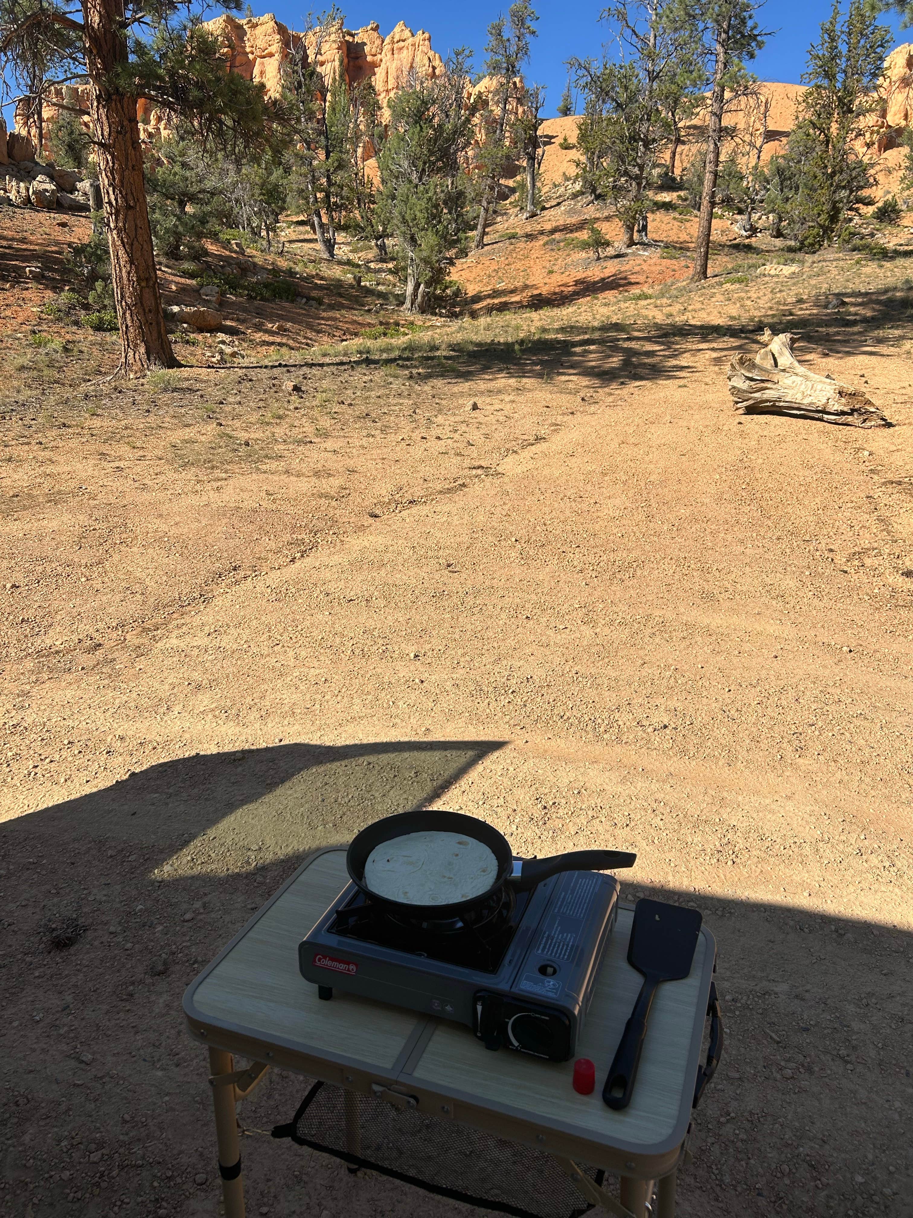 Camper submitted image from Cabin Hollow on Forest Road 121 - 3