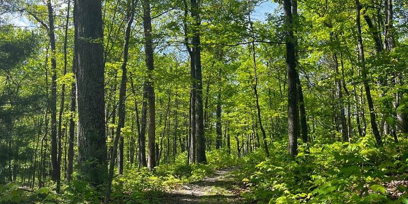 Camper submitted image from Douthat State Park Cabins & Lodges