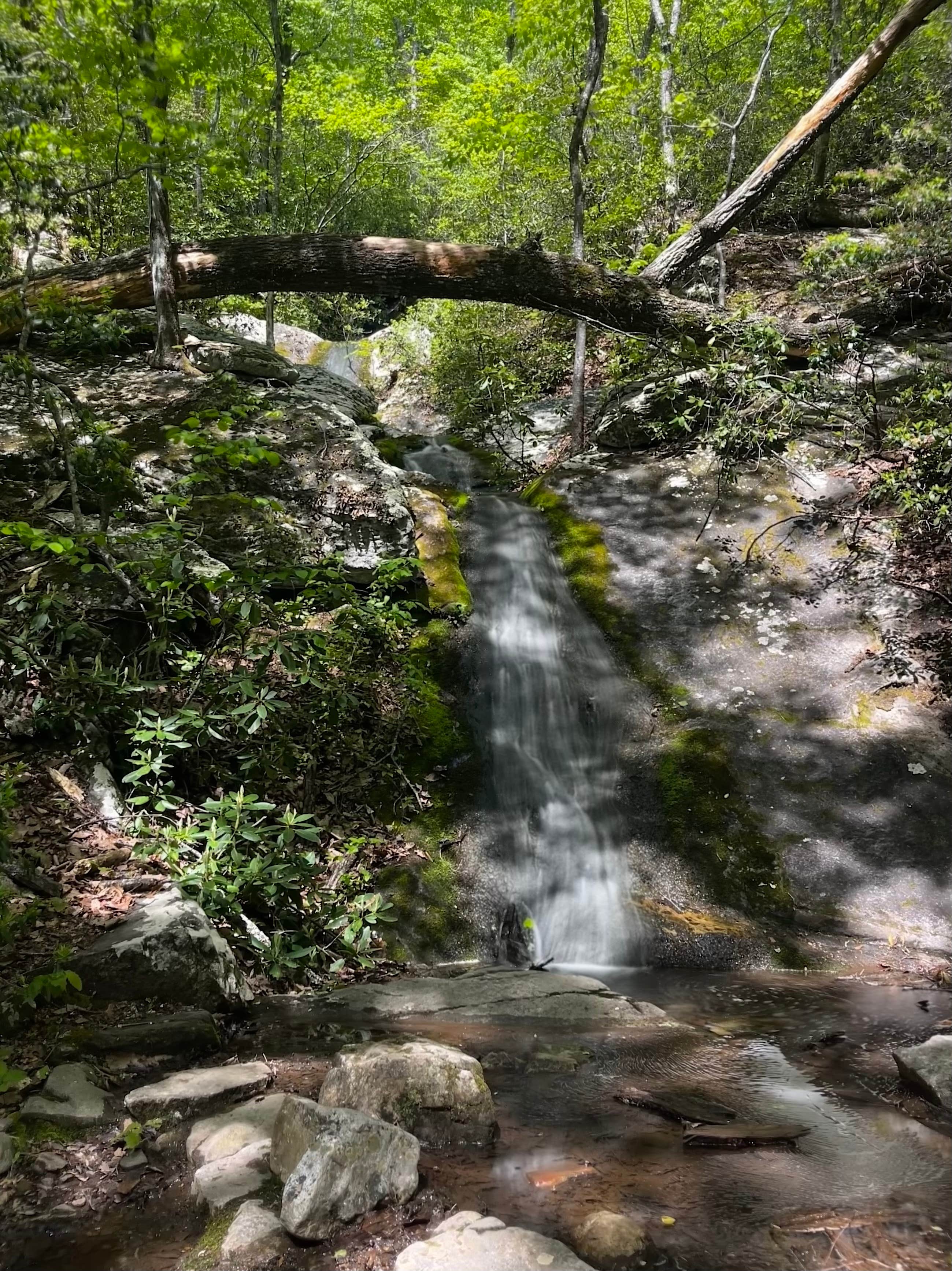 Camper-submitted photo at Douthat State Park Cabins & Lodges near Hot Springs, VA