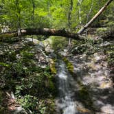 Review photo of Douthat State Park Cabins & Lodges by Cynthia J., May 6, 2026