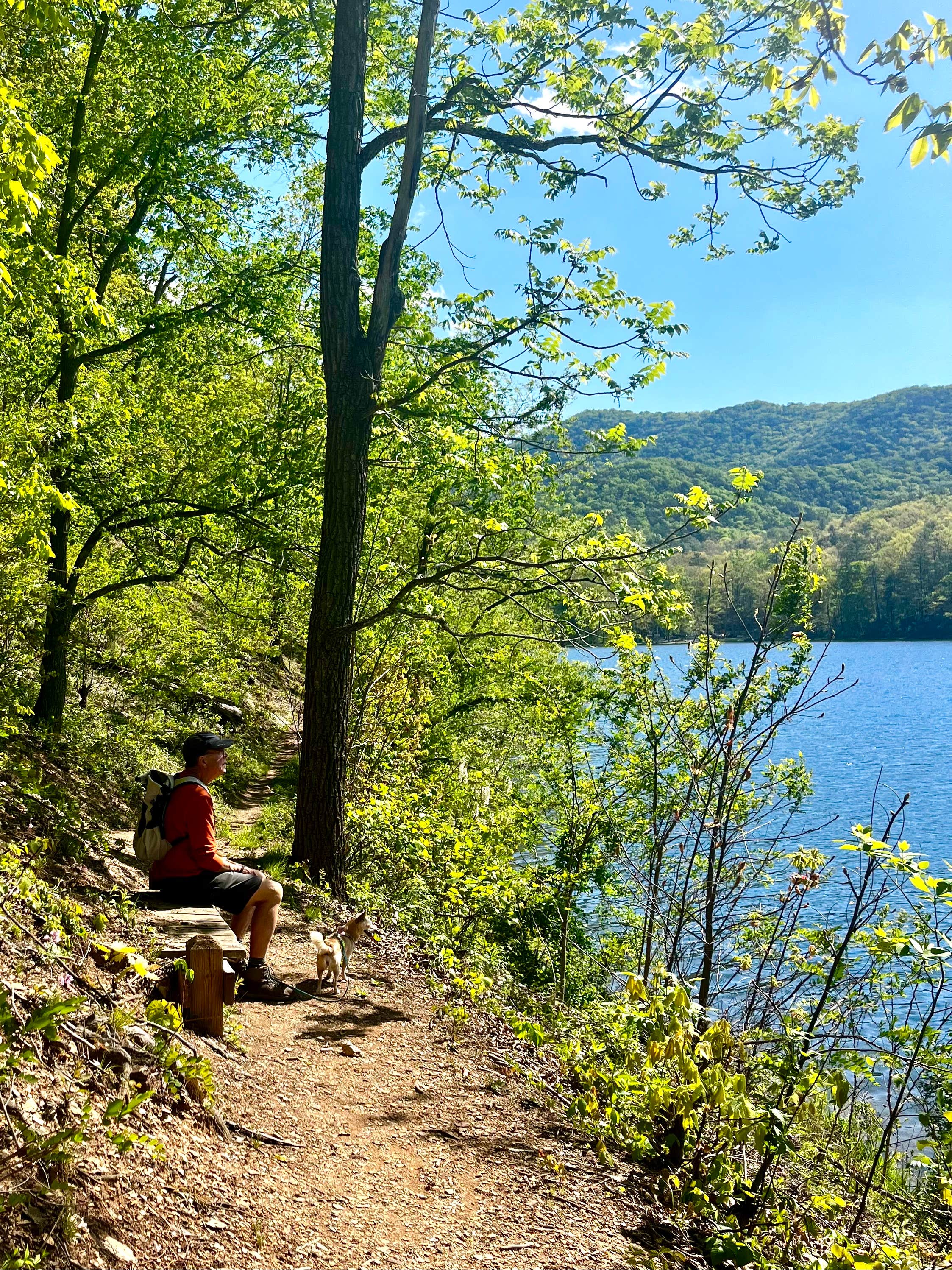 Camper-submitted photo at Douthat State Park Cabins & Lodges near Hot Springs, VA