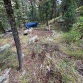 Review photo of Cache la Poudre River by Sven B., October 1, 2024