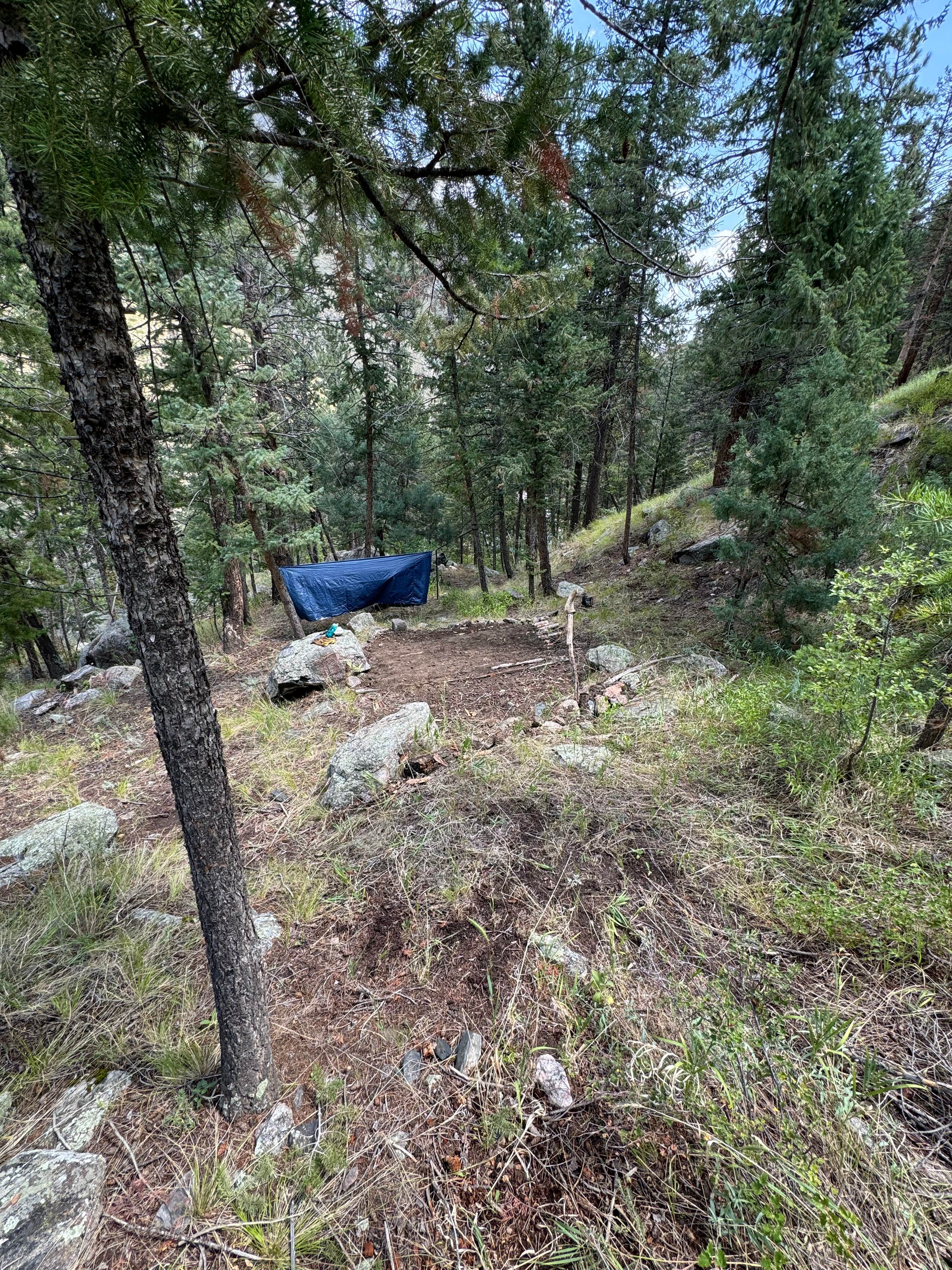 Camper submitted image from Cache la Poudre River - 1