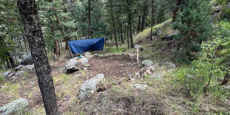 Camper submitted image from Cache la Poudre River