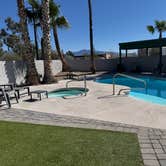 Review photo of Cactus Country RV Park - 55+ by Joy K., March 10, 2026