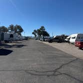 Review photo of Cactus Country RV Park - 55+ by Joy K., March 10, 2026