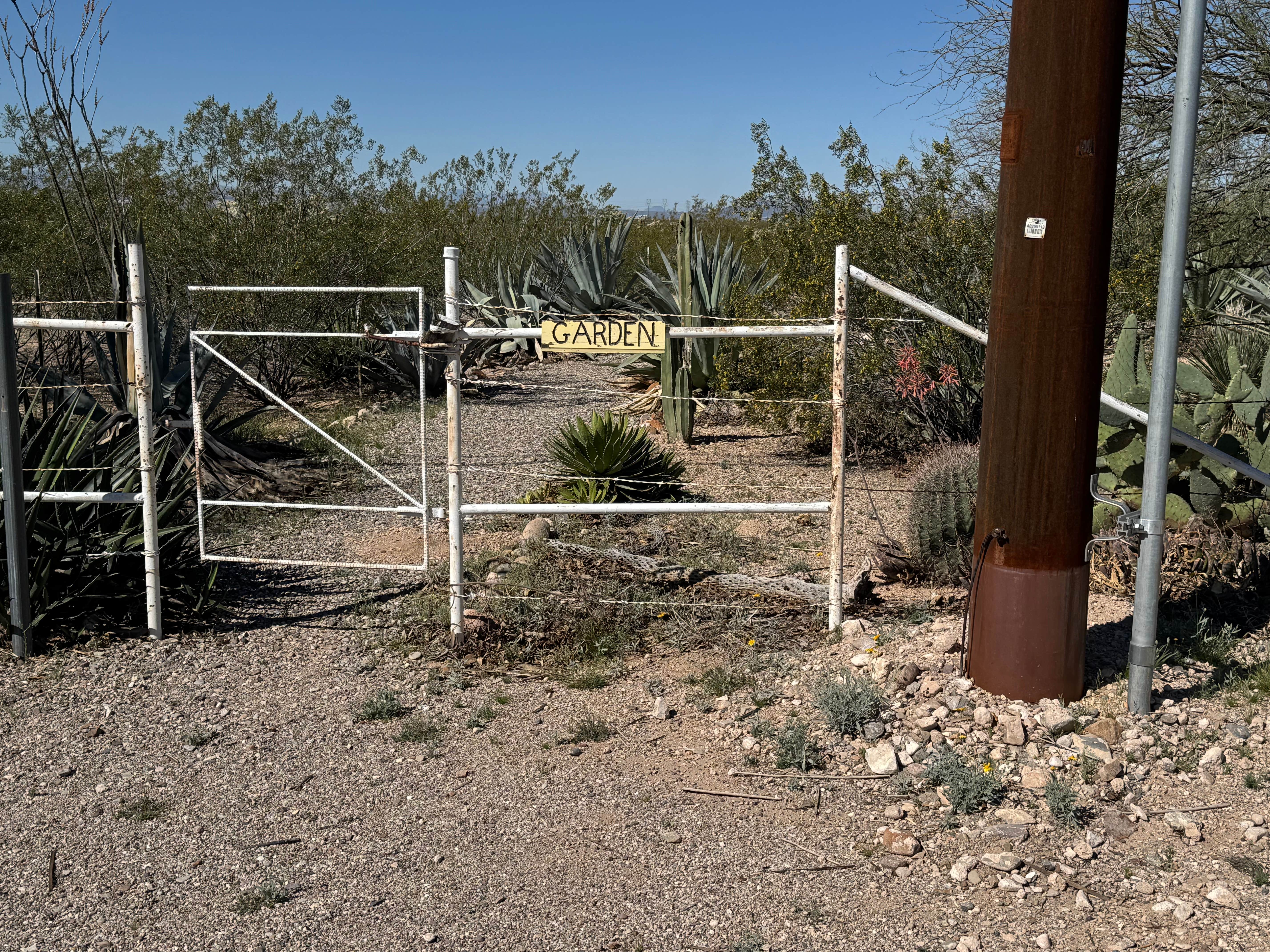 Camper-submitted photo at Cactus Country RV Park - 55+ near Tucson, AZ