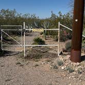 Review photo of Cactus Country RV Park - 55+ by Joy K., March 10, 2026