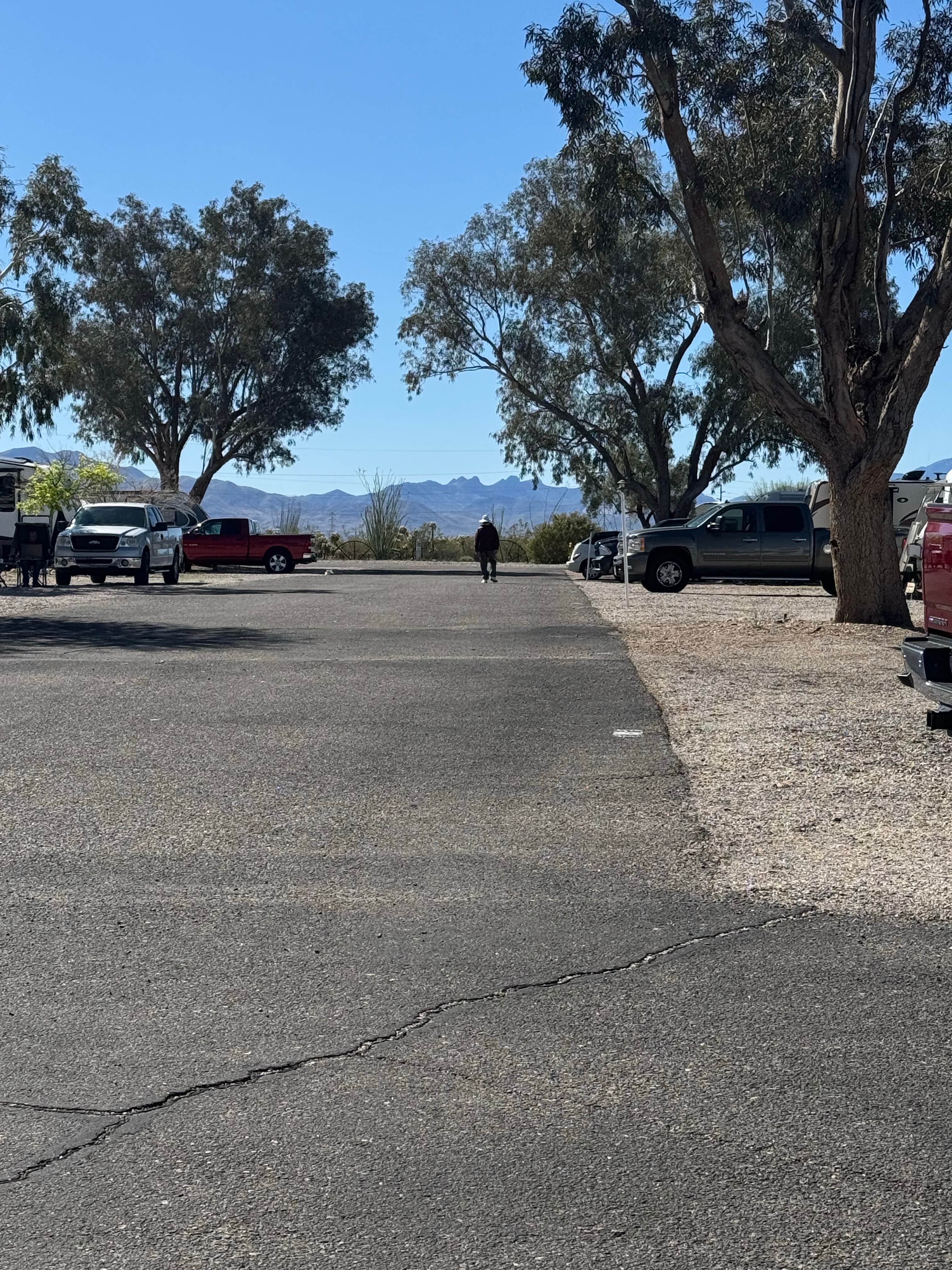 Camper-submitted photo at Cactus Country RV Park - 55+ near Tucson, AZ