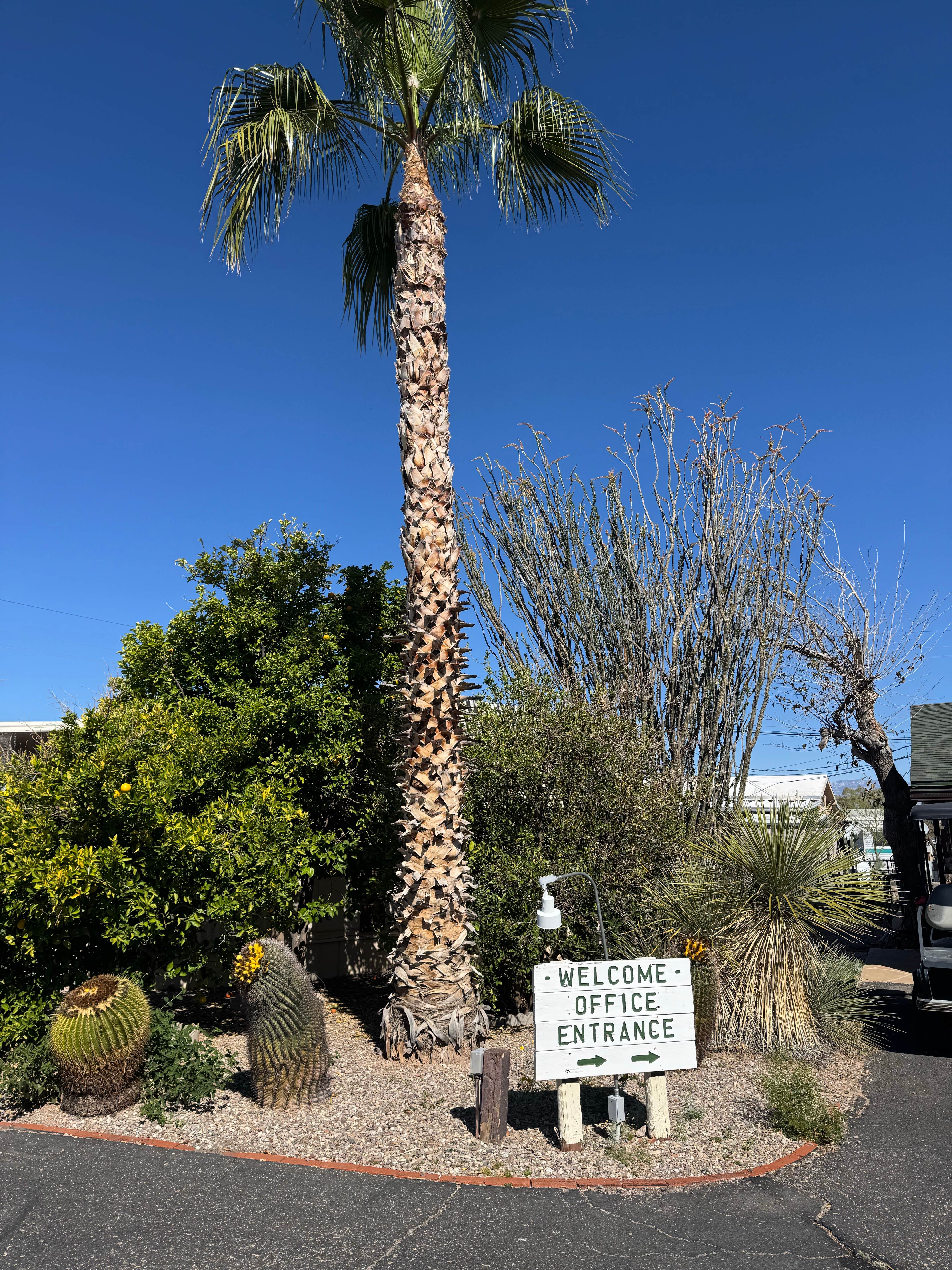 Camper-submitted photo at Cactus Country RV Park - 55+ near Tucson, AZ