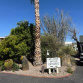 Review photo of Cactus Country RV Park - 55+ by Joy K., March 10, 2026