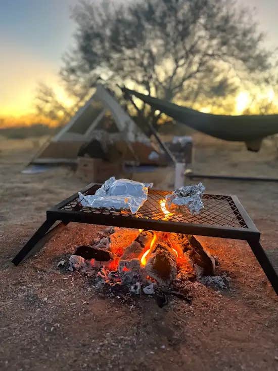 Cactus Forest Boondock