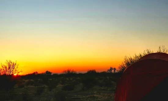 Camper-submitted photo at Cactus Forest Boondock near Florence, AZ