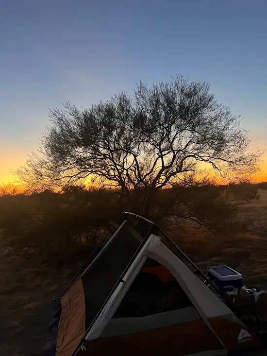 Camper-submitted photo at Cactus Forest Boondock near Florence, AZ