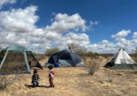 CAMPGROUNDS O.'s photo at Cactus Forest Boondock near Winkelman, AZ