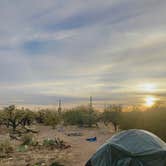 Review photo of Cactus Forest Dispersed by cheryl , November 12, 2025