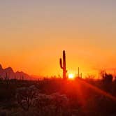 Review photo of Cactus Forest Dispersed by Teri G., May 3, 2024