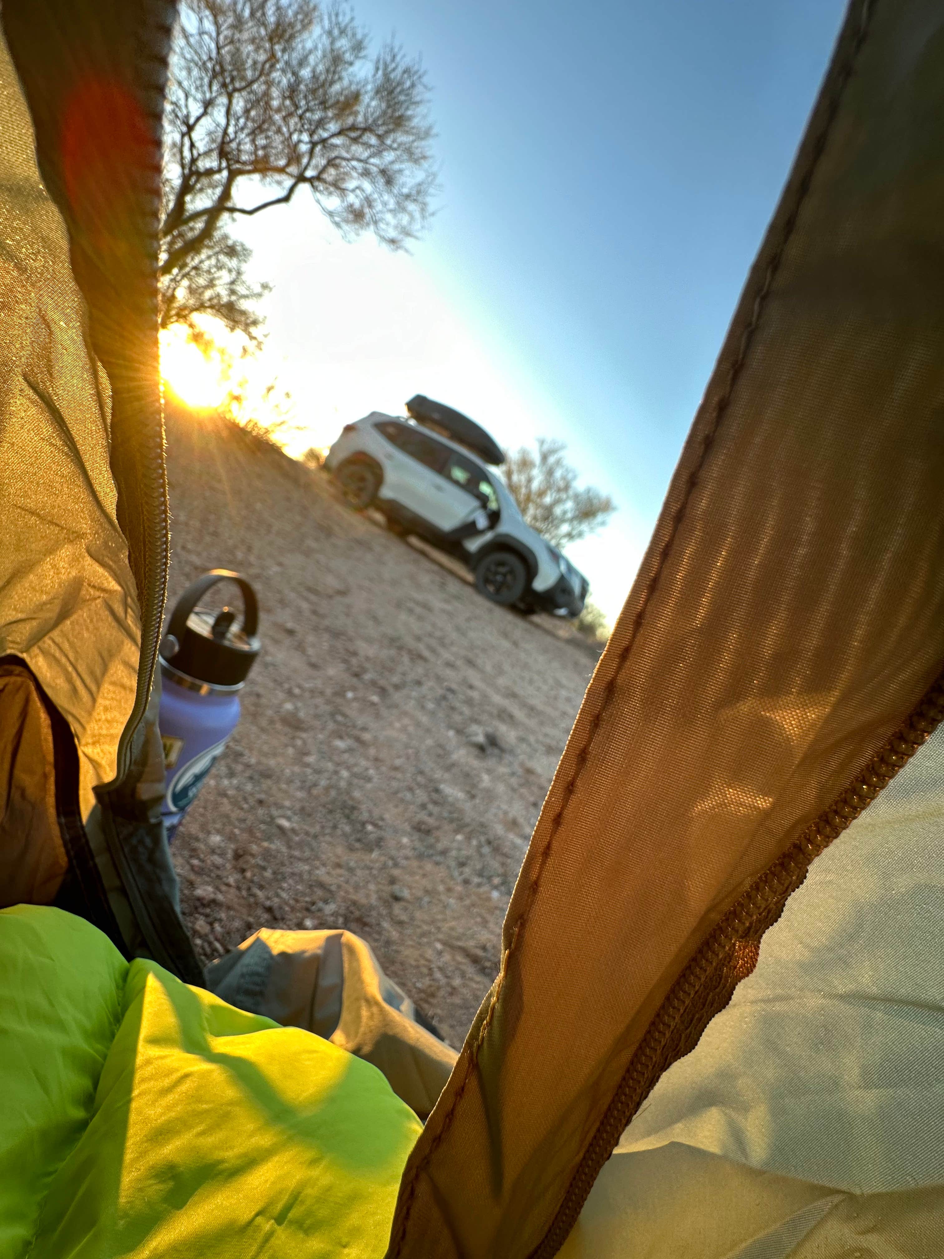 cheryl's photo at Cactus Forest Dispersed near Coolidge, AZ