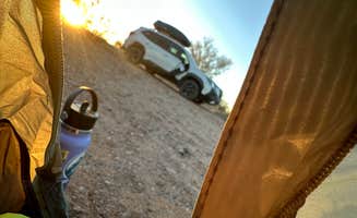 cheryl's photo at Cactus Forest Dispersed in Arizona
