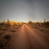 Review photo of Cactus Forest Dispersed by Curious Compass B., December 18, 2025