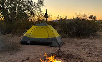 cheryl's photo of a dispersed camping area at Cactus Forest Dispersed near Mount Lemmon, AZ