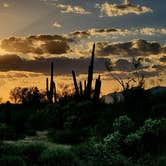 Review photo of Cactus Forest Dispersed by Teri G., May 3, 2024