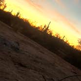 Review photo of Cactus Forest Dispersed by cheryl , November 12, 2025