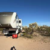 Review photo of Cactus Forest Dispersed by Andy A., February 26, 2026