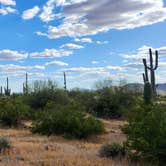 Review photo of Cactus Forest Dispersed by Teri G., May 3, 2024