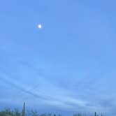 Review photo of Cactus Forest Dispersed by cheryl , November 12, 2025