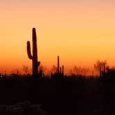 Review photo of Cactus Forest Dispersed by Teri G., May 3, 2024