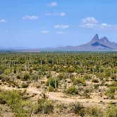 Review photo of Cactus Forest Dispersed by Teri G., May 3, 2024